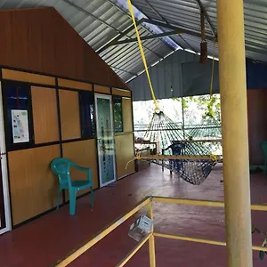 hostel-jungleparadiso.kerala-hotels.net/